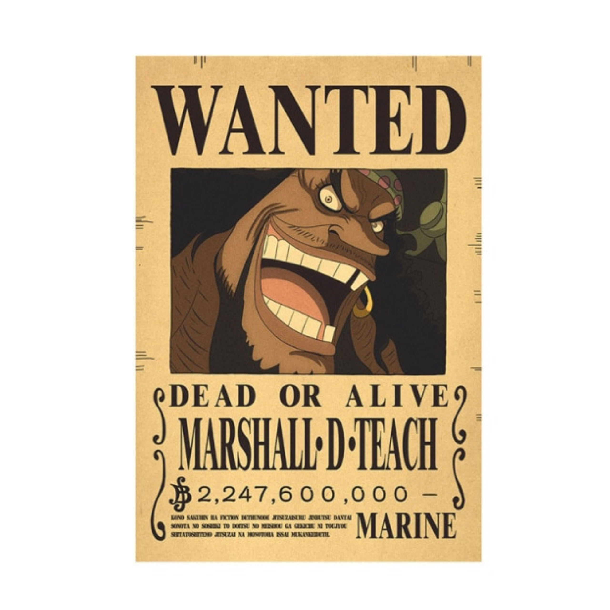 Anime Affisch One Piece