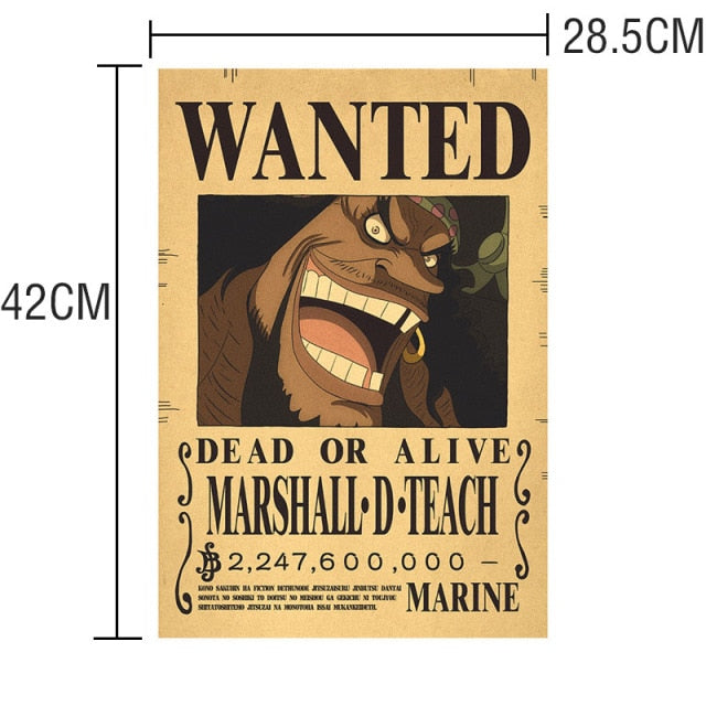 One Piece Bounty Poster