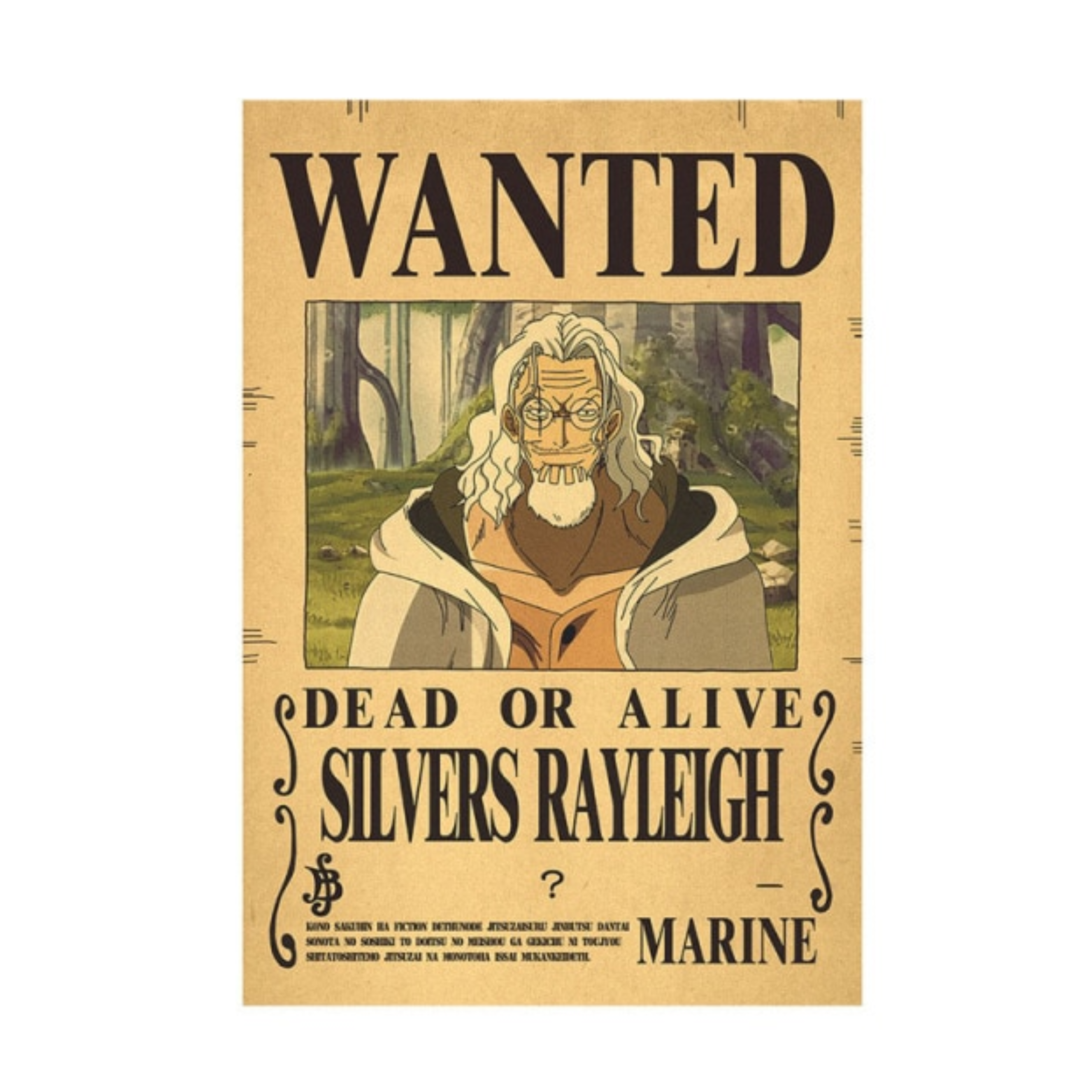One Piece Wanted Poster