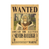 One Piece Wanted Poster