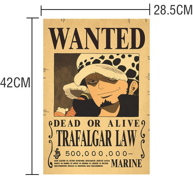 Wanted Poster One Piece