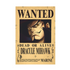 One Piece Affisch