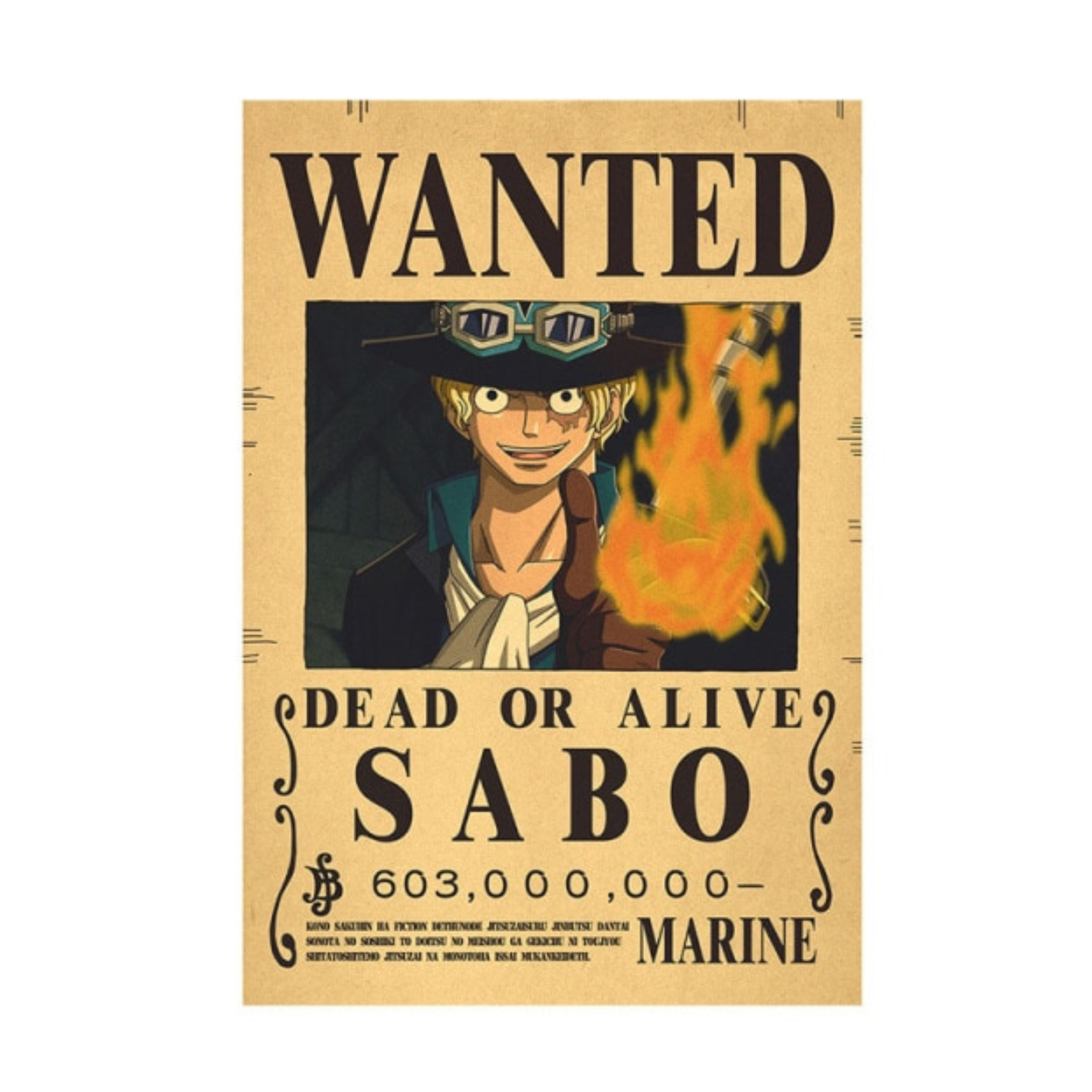 One Piece Affisch